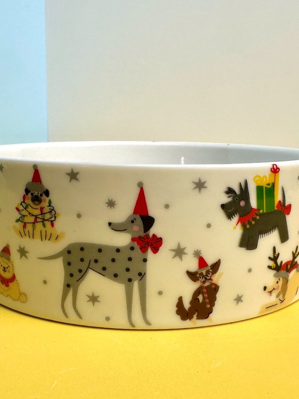 Christmas Dog Print Ceramic Bowl – Brand New
